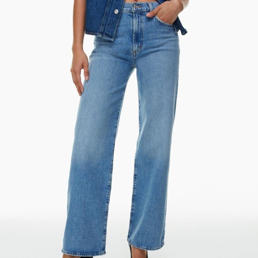 Aritzia AGOLDE wide leg jeans